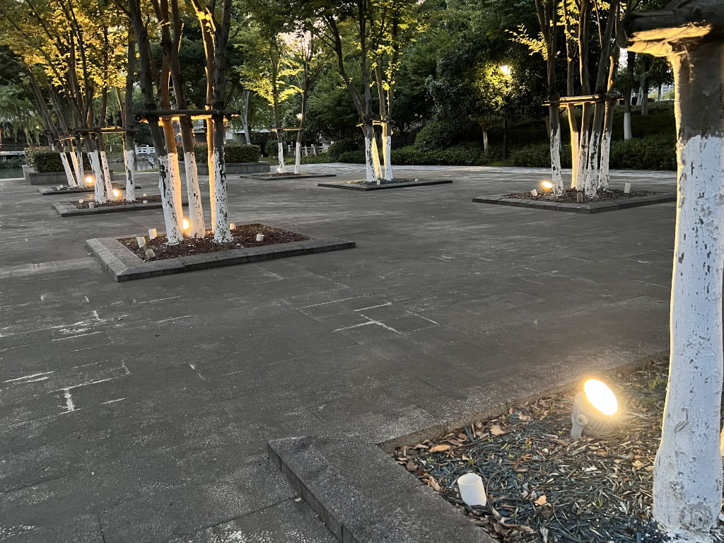 Outdoor Lighting Projects